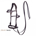 Dandy Side Pull Bitless Bridle And Reins